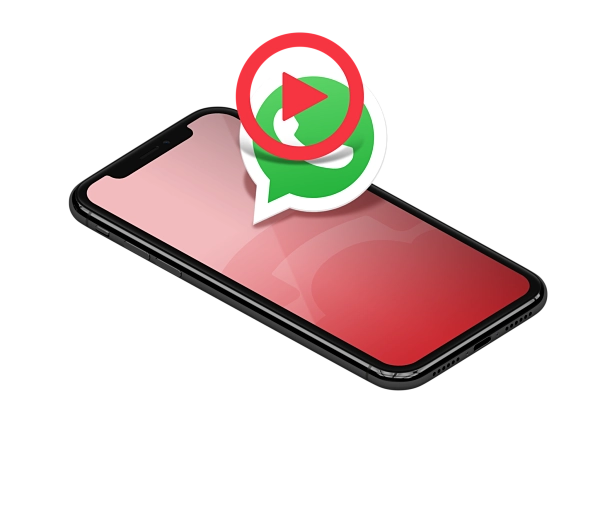 WhatsApp API